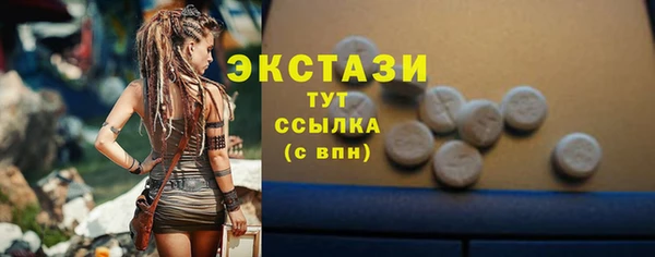 соль ск Краснослободск